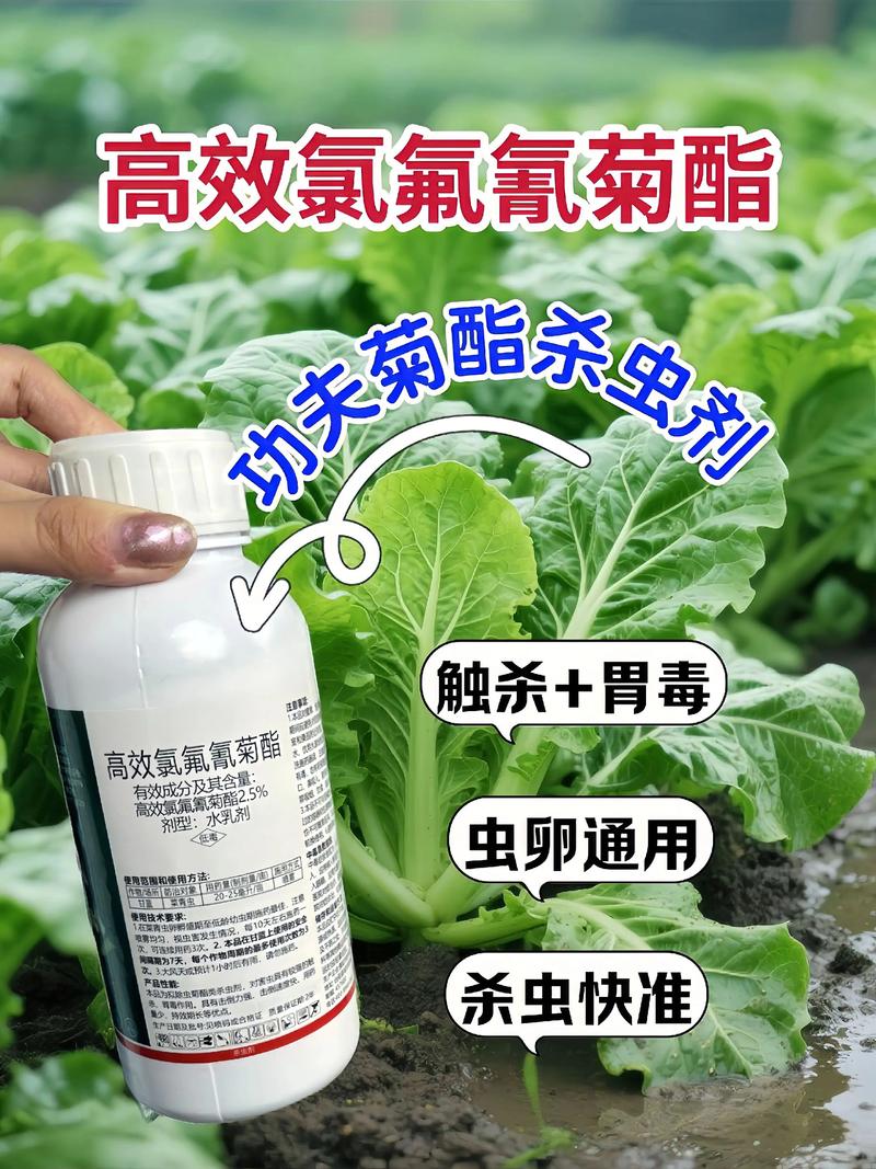 桦甸代生中心:农药对供卵代生妈妈的危害